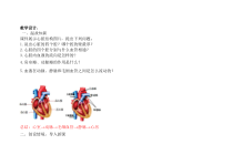 《第三节 物质运输的途径》教学设计5-济南版生物七年级下册