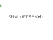 高中体育与健康《正手发平高球》PPT课件4-人教版