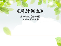 高中体育与健康《肩肘倒立，经单肩后滚翻成跪撑平衡》PPT课件3-人教版