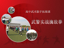 高中体育与健康《4.武术散手》PPT课件1-人教版