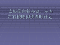 高中基本内容1《2、简化太极拳（二十四式）》PPT课件4-沪教版