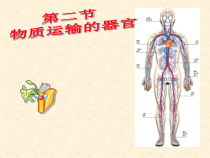 济南版生物七年级下册（课件10份可预览）