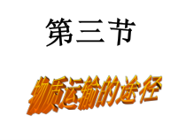 《第三节 物质运输的途径》PPT课件1-济南版生物七年级下册