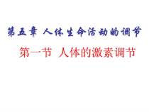 《第一节 人体的激素调节》PPT课件1-济南版生物七年级下册