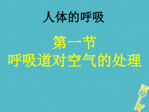 《第一节 人体与外界的气体交换》PPT课件1-济南版生物七年级下册