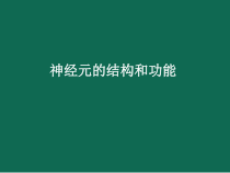 《第二节 神经调节的基本结构》PPT课件2-济南版生物七年级下册