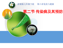 《第二节 传染病及其预防》PPT课件3-济南版生物七年级下册