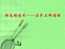 高二教师用书《放网》PPT课件2-华东师大版体育