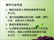 《第三节 神经调节的基本方式》PPT课件3-济南版生物七年级下册