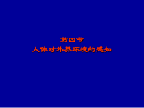《第四节 人体对周围世界的感知》PPT课件1-济南版生物七年级下册