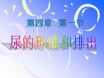 《第一节 尿液的形成和排出》PPT课件4-济南版生物七年级下册