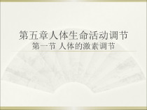 《第一节 人体的激素调节》PPT课件2-济南版生物七年级下册