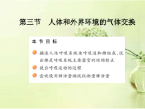 《第一节 人体的激素调节》PPT课件4-济南版生物七年级下册
