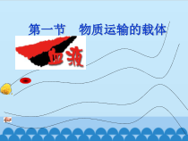 《第一节 物质运输的载体》PPT课件1-济南版生物七年级下册