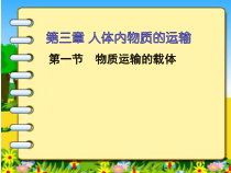 《第一节 物质运输的载体》PPT课件3-济南版生物七年级下册