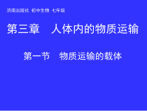 《第一节 物质运输的载体》PPT课件4-济南版生物七年级下册