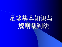 体育高一学生用书《文化、体育与社会》PPT课件3-华东师大版