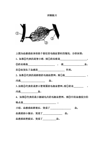 《第一节 尿液的形成和排出》评测练习-济南版生物七年级下册