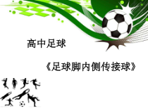 体育高一学生用书《运动项目“万花筒”》PPT课件5-华东师大版