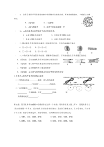 《第二节 物质运输的器官》巩固练习-济南版生物七年级下册 - 副本