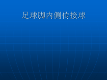 高中体育与健康《足球运动》PPT课件1-冀教版