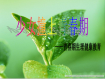 高中体育与健康《性的困惑--花季之谜》PPT课件1-粤教版