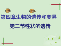 济南版生物八年级上册（课件7份可预览）