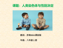《第三节 人类染色体与性别决定》PPT课件2-济南版生物八年级上册