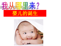 《第一节 婴儿的诞生》PPT课件1-济南版生物八年级上册