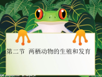《第二节 两栖动物的生殖和发育》PPT课件2-济南版生物八年级上册