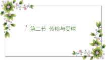 《第二节 传粉与受精》PPT课件2-济南版生物八年级上册