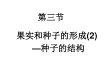 《第三节 果实和种子的形成》PPT课件1-济南版生物八年级上册