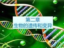 《第二节 性状的遗传》PPT课件1-济南版生物八年级上册