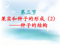 《第三节 果实和种子的形成》PPT课件3-济南版生物八年级上册
