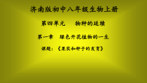 《第三节 果实和种子的形成》PPT课件2-济南版生物八年级上册