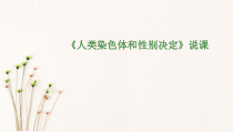 《第三节 人类染色体与性别决定》PPT课件3-济南版生物八年级上册