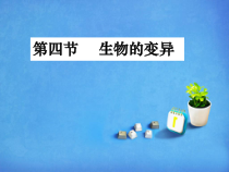 《第四节 生物的变异》PPT课件1-济南版生物八年级上册