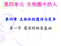 《第一节 遗传的物质基础》PPT课件1-济南版生物八年级上册