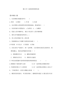 《第六节 芽的类型和发育》测评练习-济南版生物八年级上册