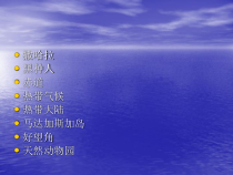 高中音乐-音乐鉴赏《非洲 鼓乐》PPT课件1-花城版