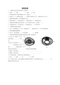 《第三节 鸟的生殖和发育》课堂检测-济南版生物八年级上册