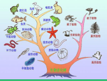 济南版生物八年级下册（课件6份可预览）