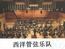 高中音乐-演奏《西洋管弦乐队的构成及主要乐器简介》PPT课件2-人音版