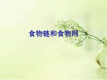 《第二节 食物链和食物网》PPT课件1-济南版生物八年级下册