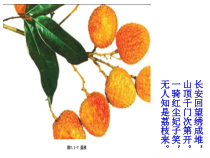 《第二节 食品保存》PPT课件2-济南版生物八年级下册