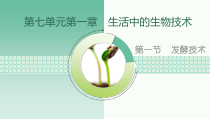 《第一节 发酵技术》PPT课件4-济南版生物八年级下册