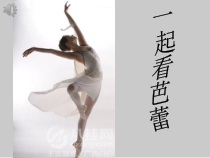 高中音乐-音乐与舞蹈《芭蕾》PPT课件1-人音版