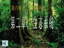 《第一节 生态系统的组成》PPT课件4-济南版生物八年级下册
