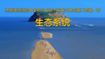 《第一节 生态系统的组成》PPT课件5-济南版生物八年级下册