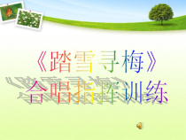 高中音乐-歌唱《踏雪寻梅》PPT课件1-人音版